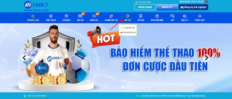 Hướng Dẫn Hoàn Thành Vé Cược Hợp Lệ Khi Chơi Đá Gà F88bet